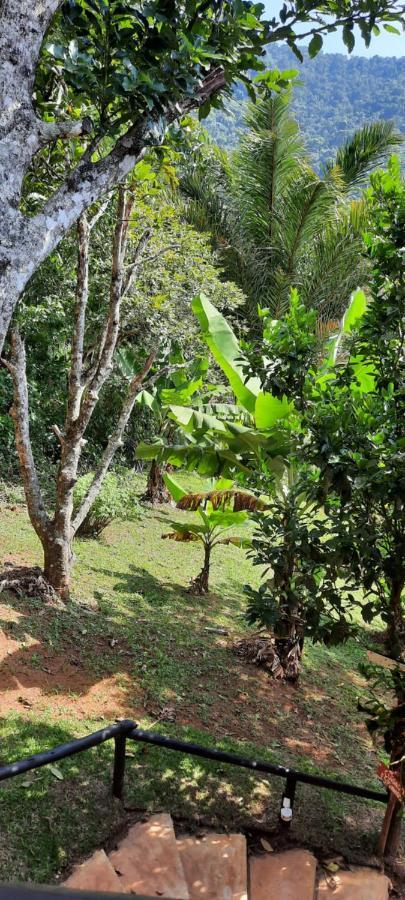 Suites Casinha Do Alto Da Bocaina Сан-Педру-да-Серра Экстерьер фото
